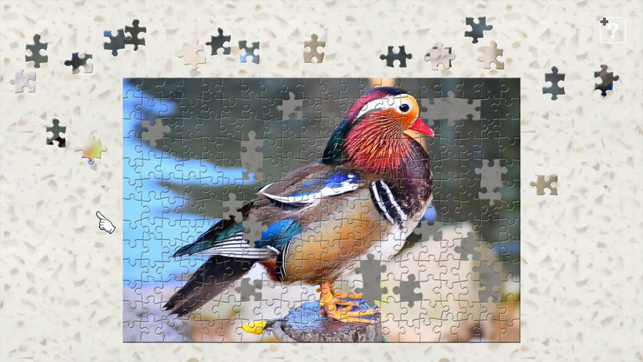 Colorful Birds 5