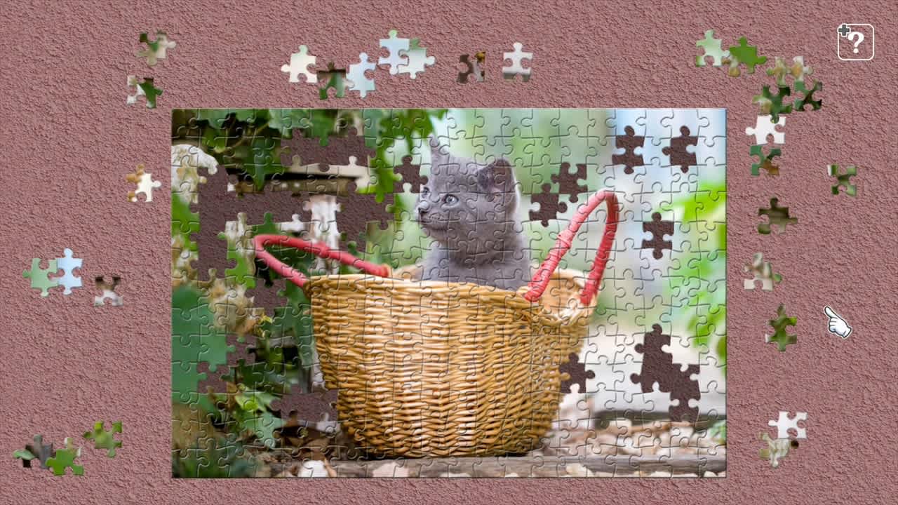 Little Kittens / Kenta Igarashi 3