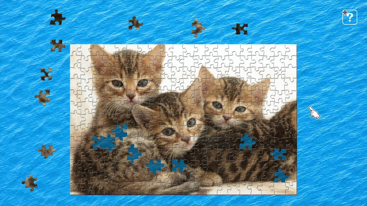 Little Kittens / Kenta Igarashi 5