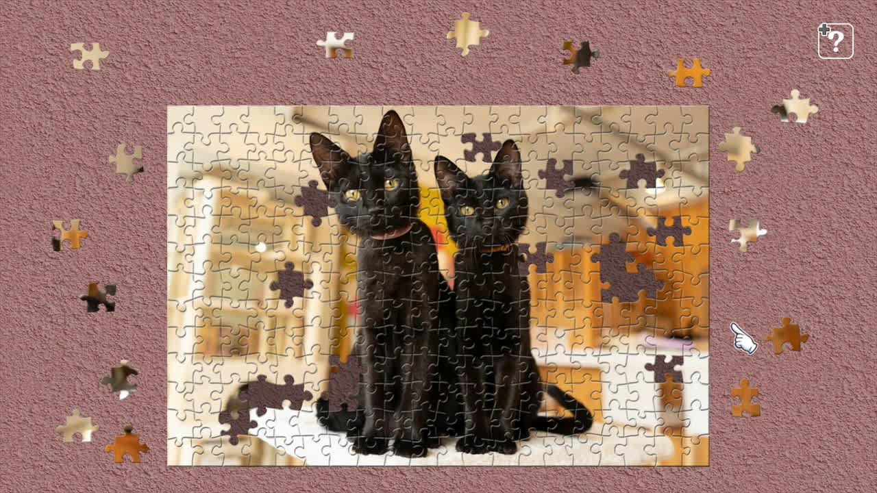 Black Cats in a Cat Welfare Cafe / Kenta Igarashi 5