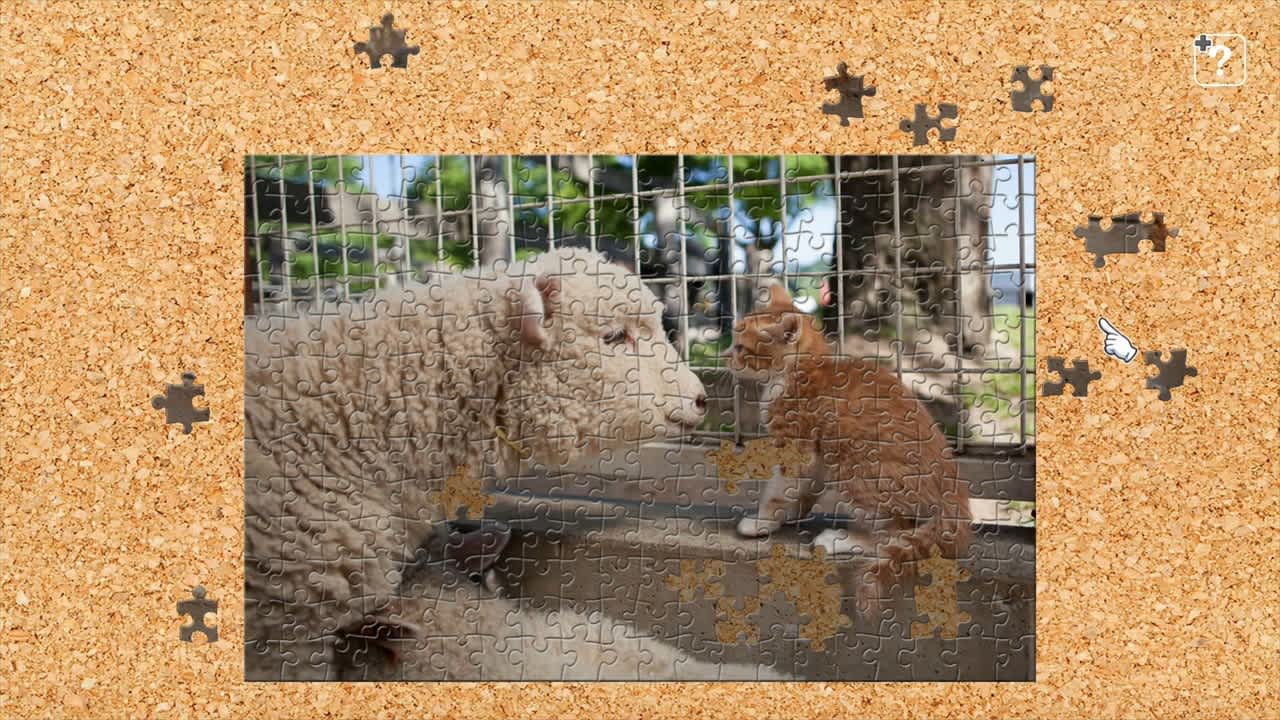 Cats and Friends on the Suetoshi Farm / Kenta Igarashi 6