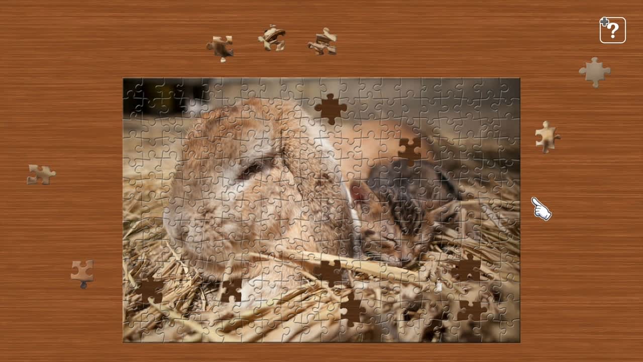 Cats and Friends on the Suetoshi Farm / Kenta Igarashi 5
