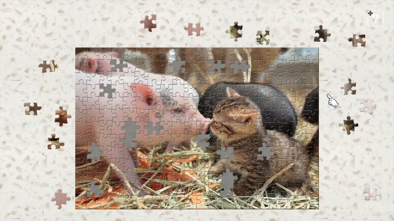 Cats and Friends on the Suetoshi Farm / Kenta Igarashi 3