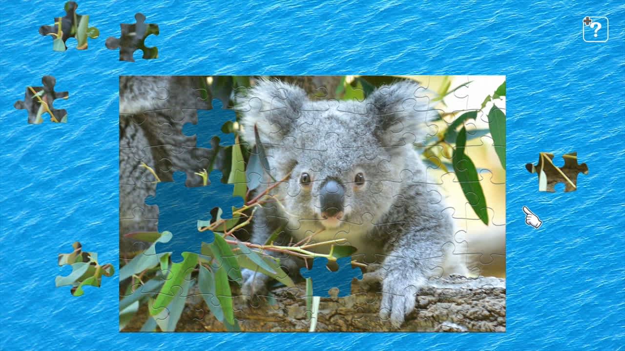 Baby Animals 4