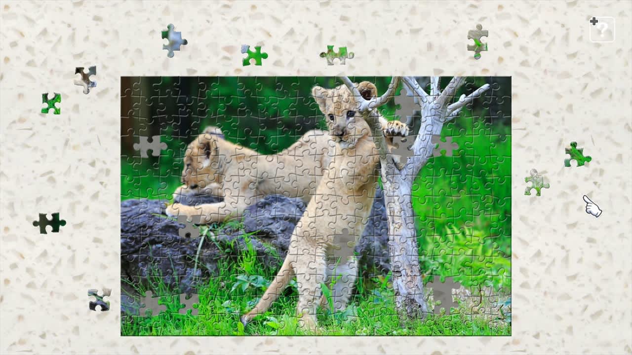 Baby Animals 3