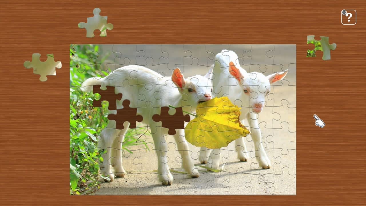 Baby Animals 5
