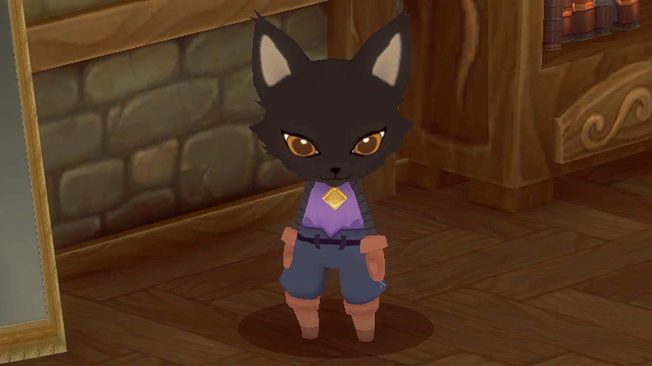 Black Cat Skin 2