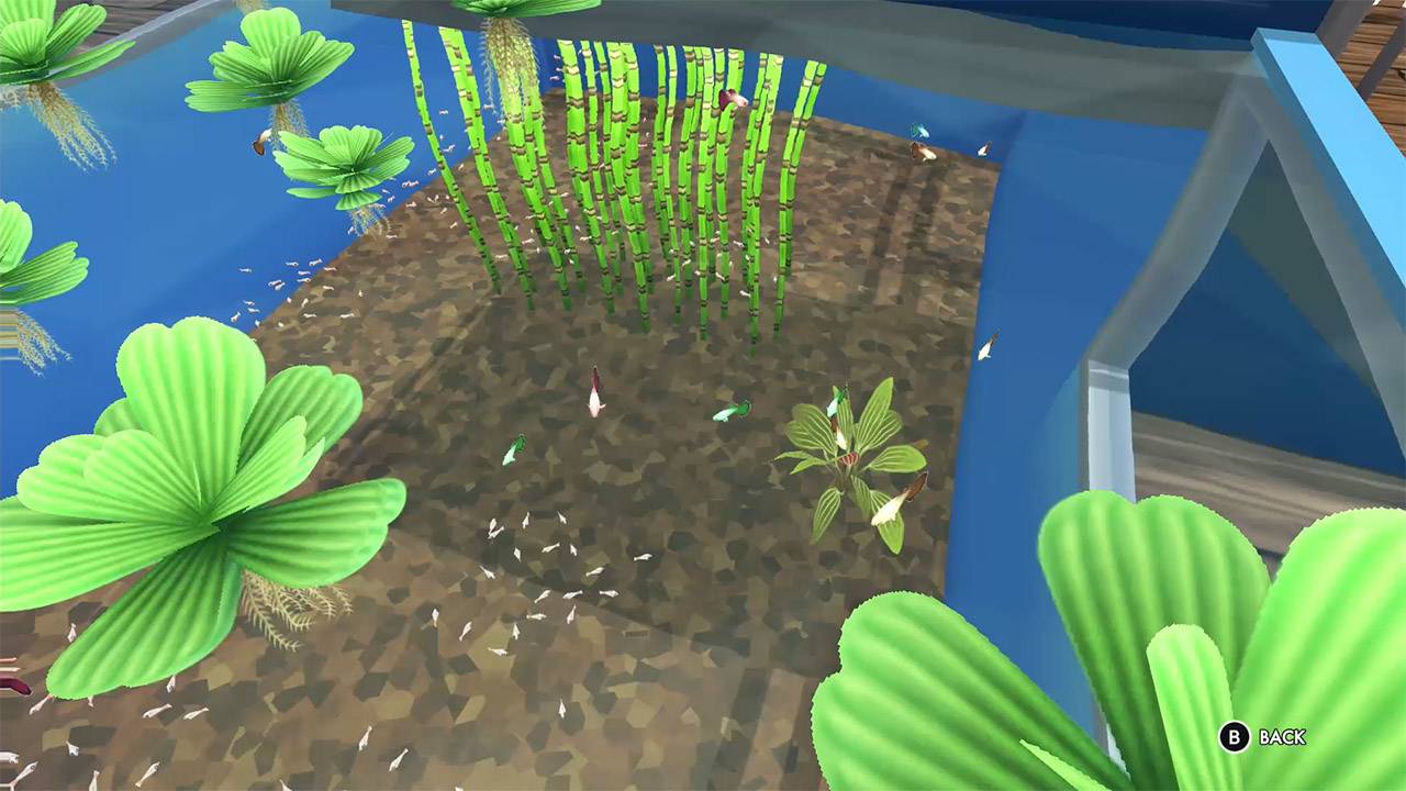 Freshwater Frenzy 5
