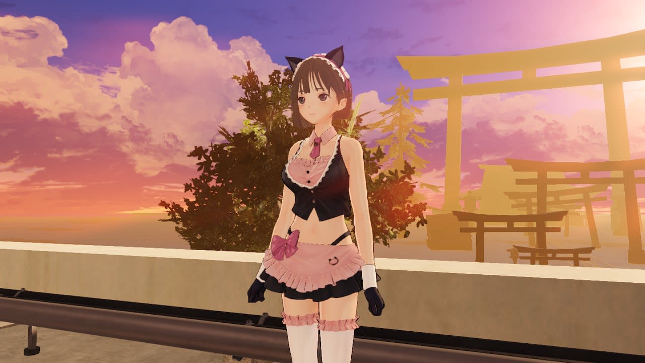 Ao Costume - Hospitable Kitty 3