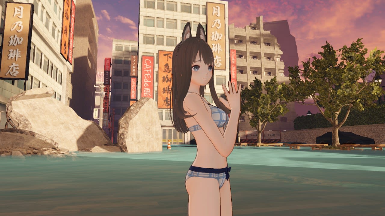 Yuki, Shiho & Mio Costumes - Beachside Puppies 3