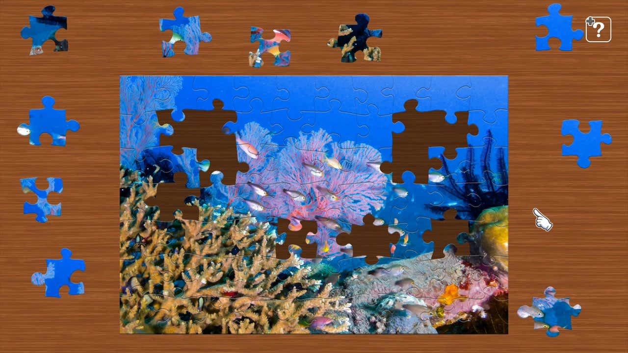 Underwater Photography 3