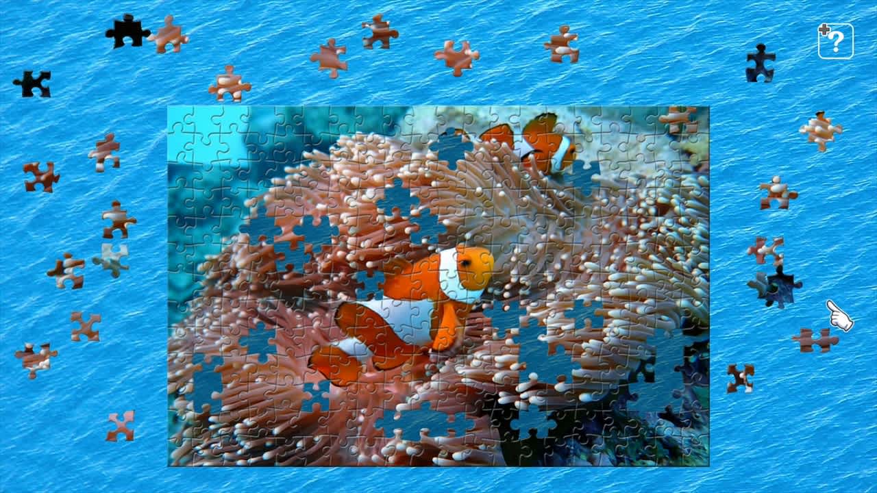 Underwater Photography 2