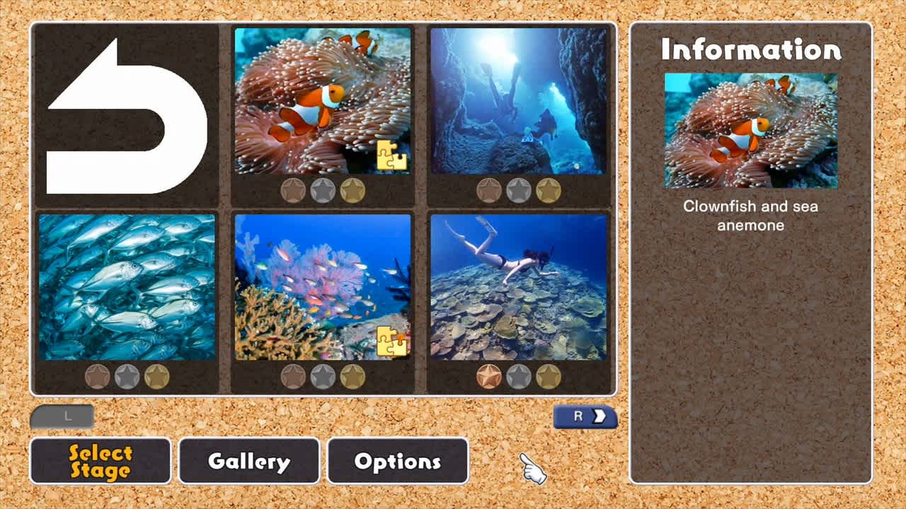 Underwater Photography 5