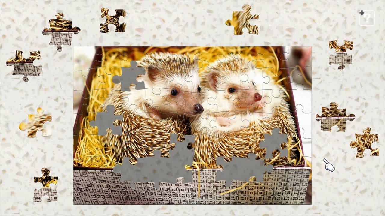 Little Animals 4