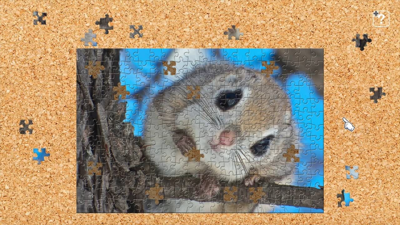 Little Animals 2
