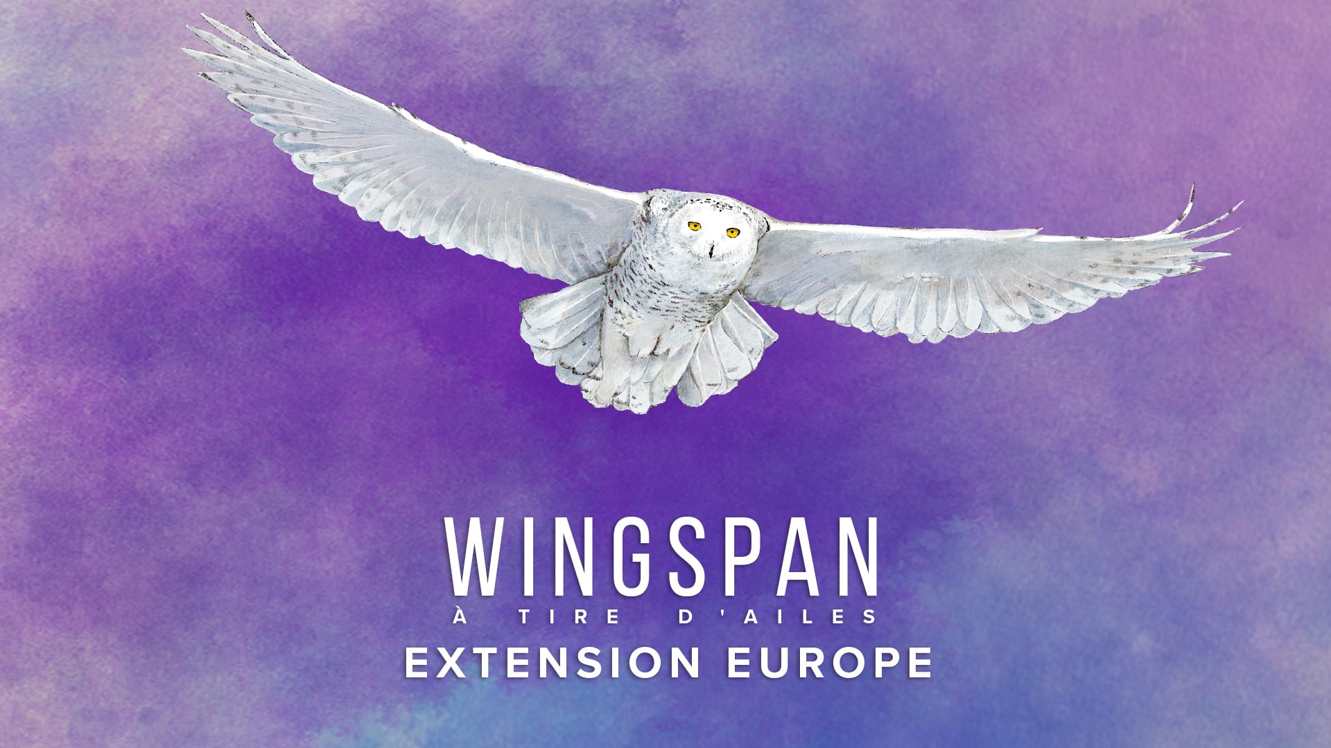 WINGSPAN (À TIRE D'AILES): Extension Europe 1