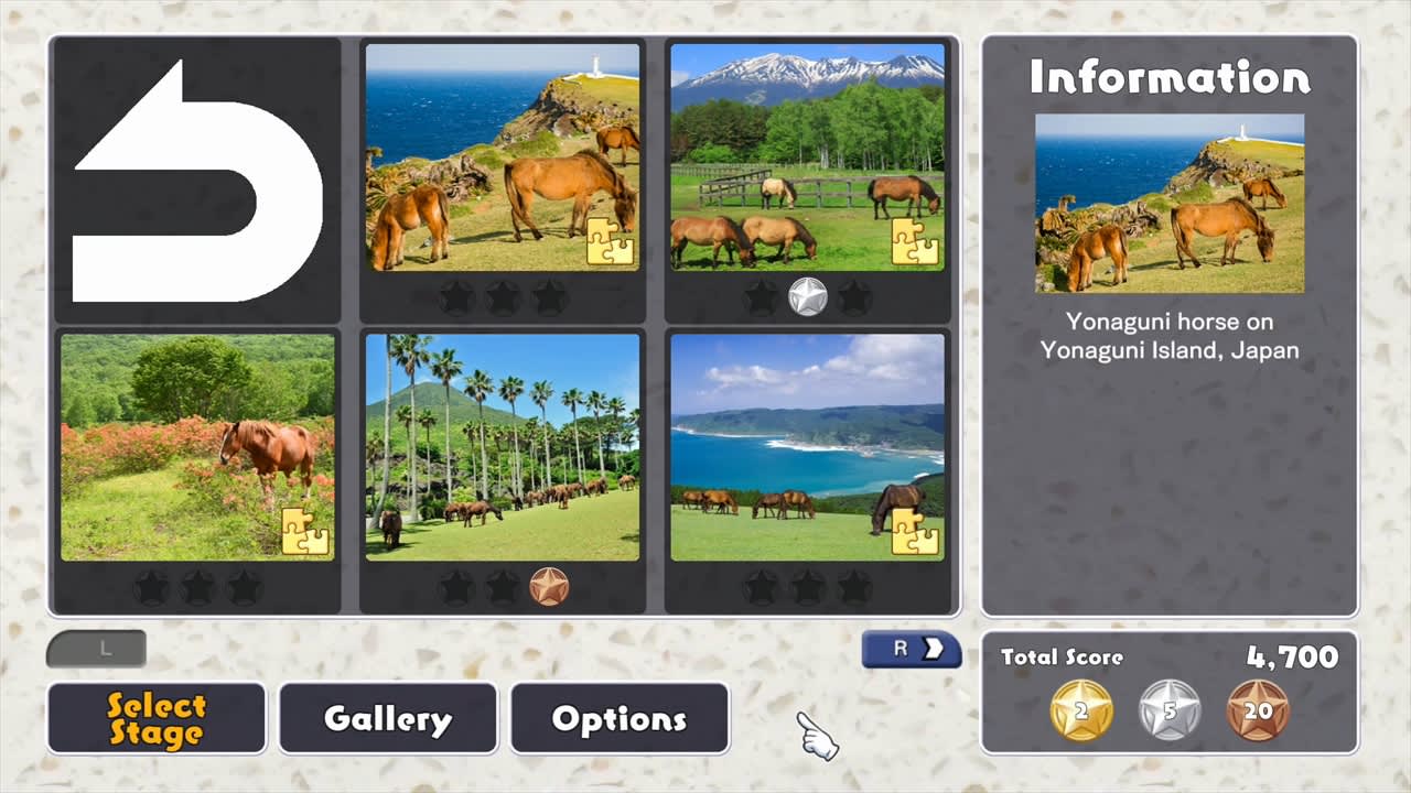 Scenes with Horses 5