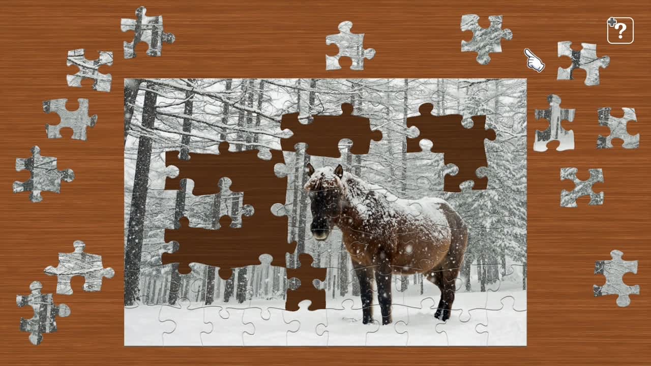 Scenes with Horses 4