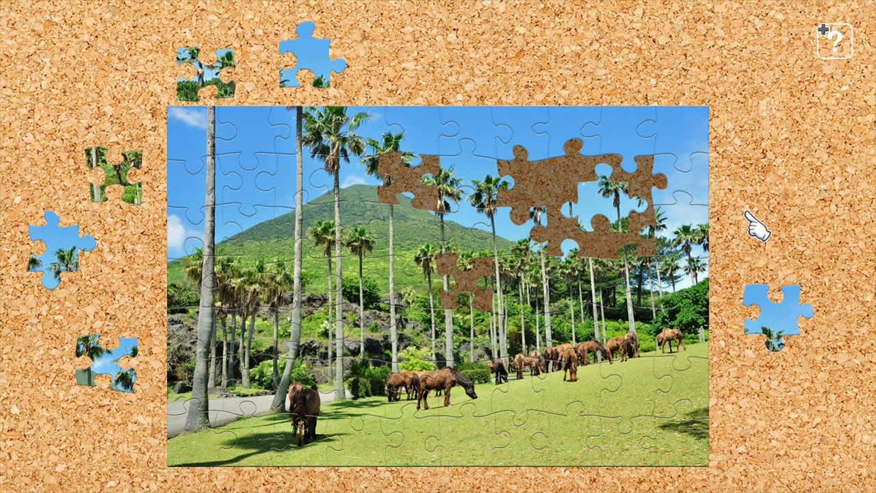 Scenes with Horses 3