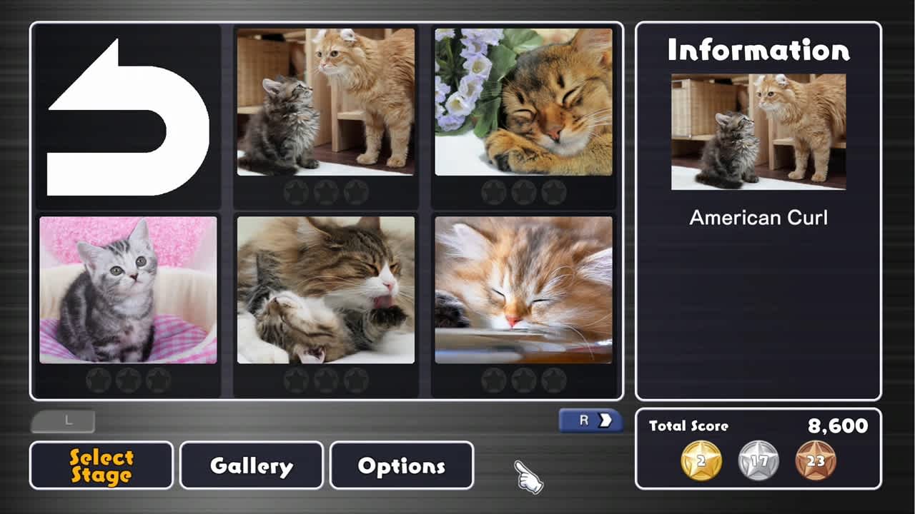 Cat Breeds 5