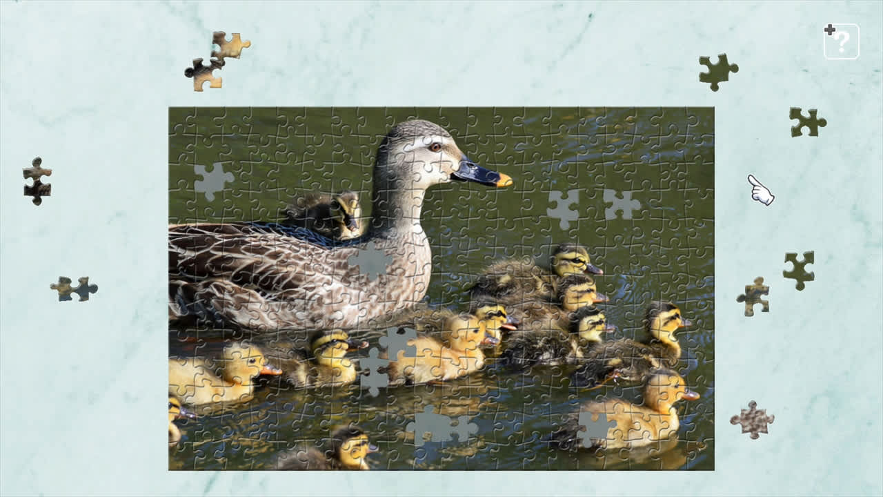 Animal Families 3
