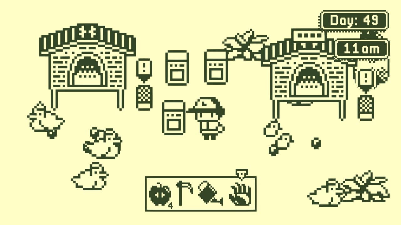 Chicken Pack 6