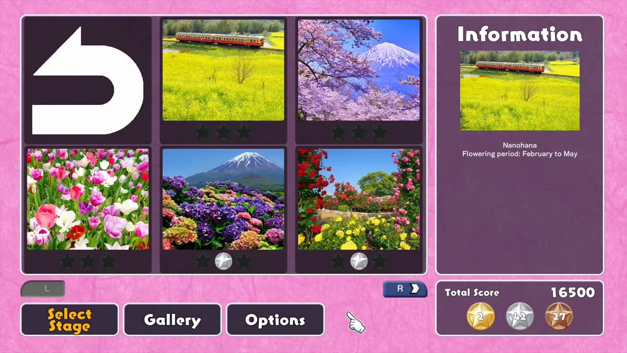 Seasonal Flowers in Japan 5