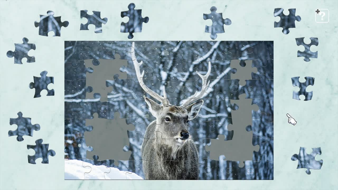 Animals in Snow 3