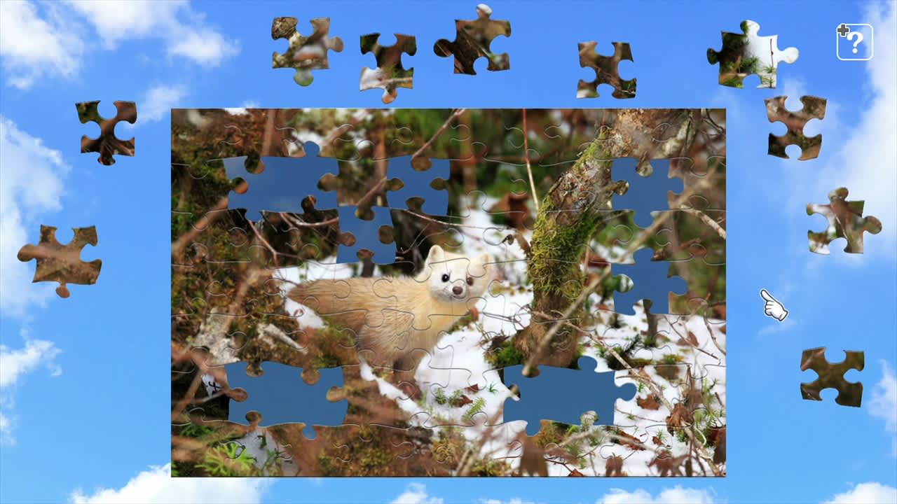 Animals in Snow 4