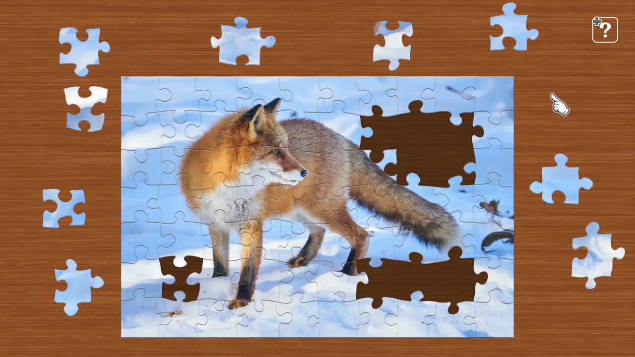 Animals in Snow 2