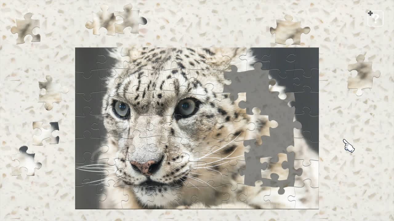 Big Cat Friends 4