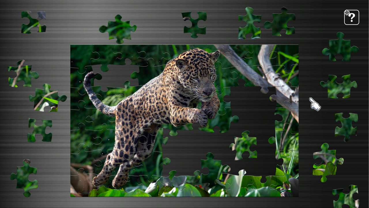 Big Cat Friends 3