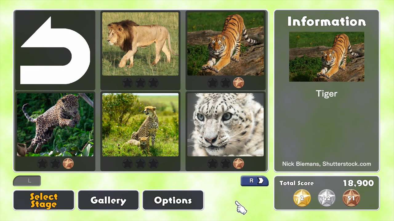 Big Cat Friends 5