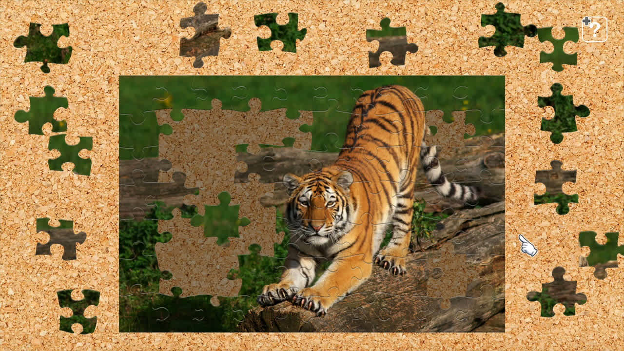Big Cat Friends 2