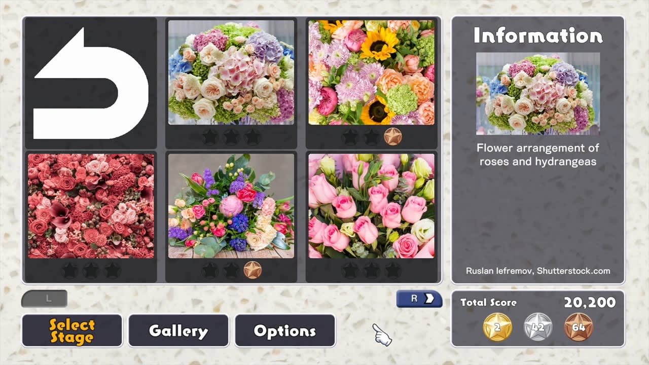 Flower Arrangement 5