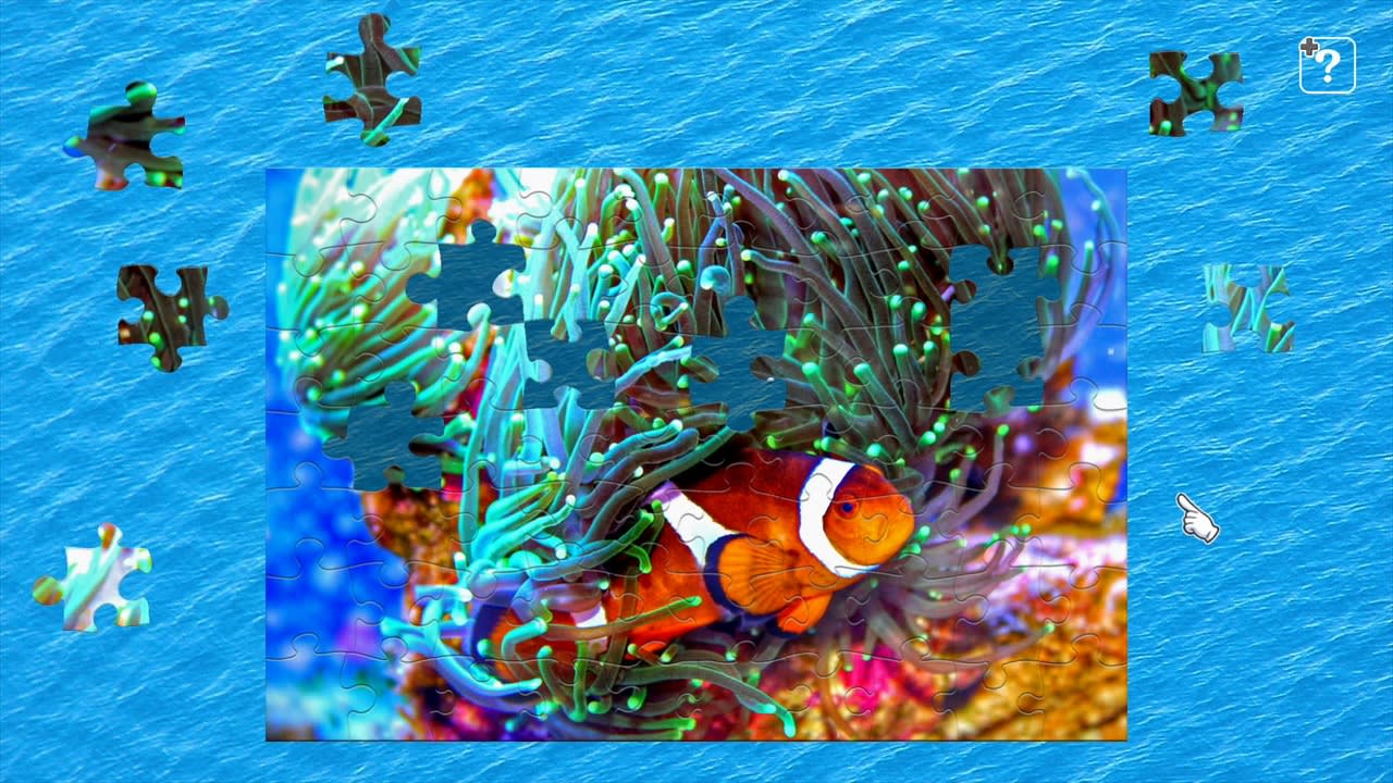 Colorful Fish 2