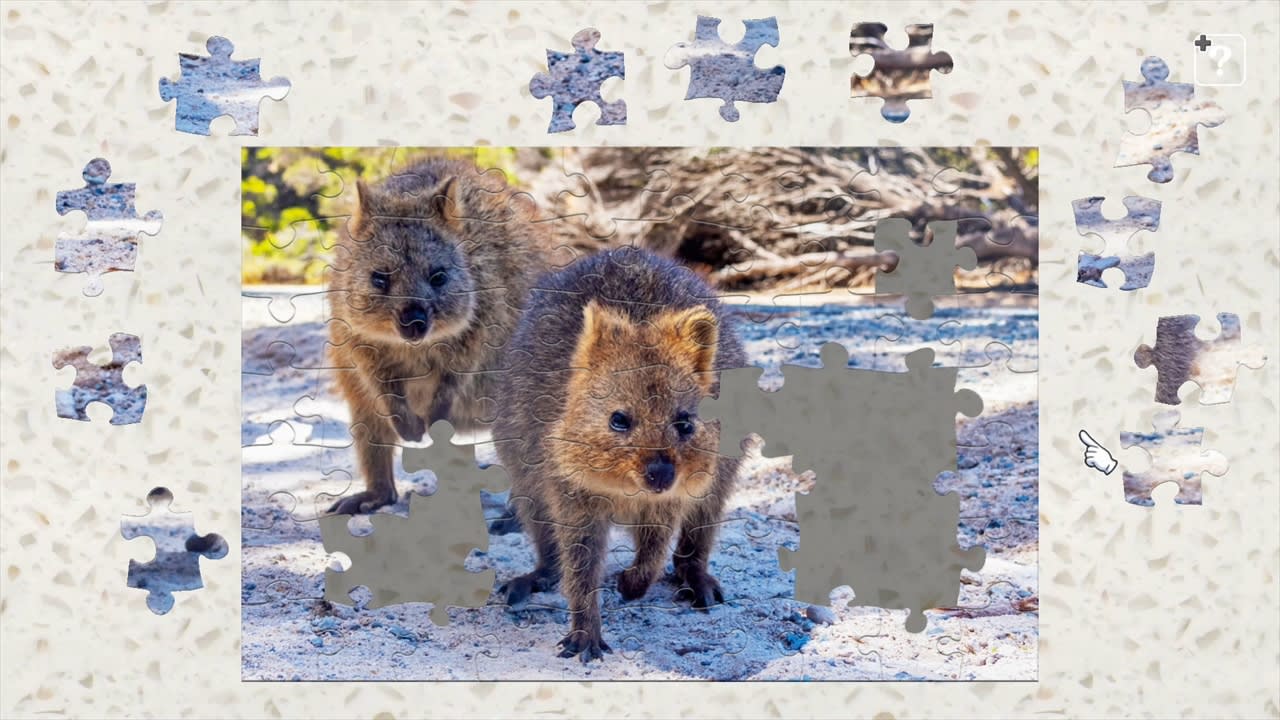 Australia's Native Wildlife 4
