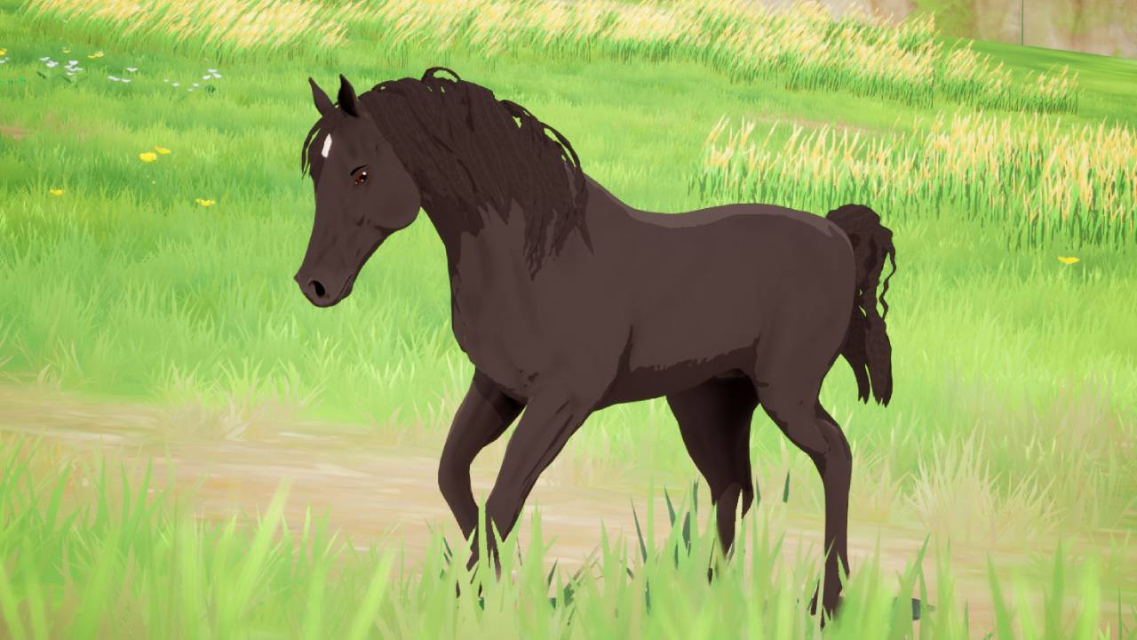 The Arabian Horse Pack 2