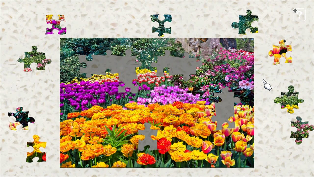 Colorful Garden 3