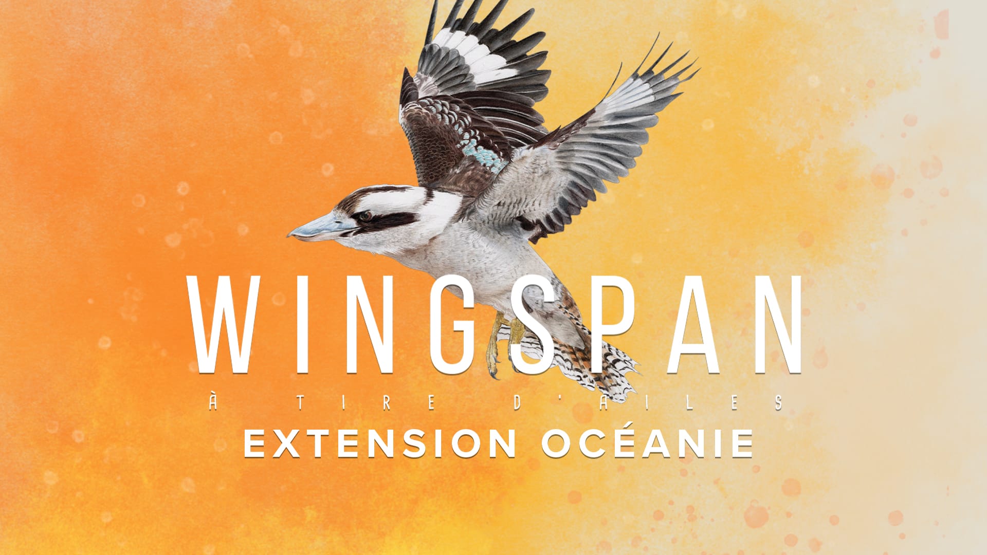 WINGSPAN (À TIRE D