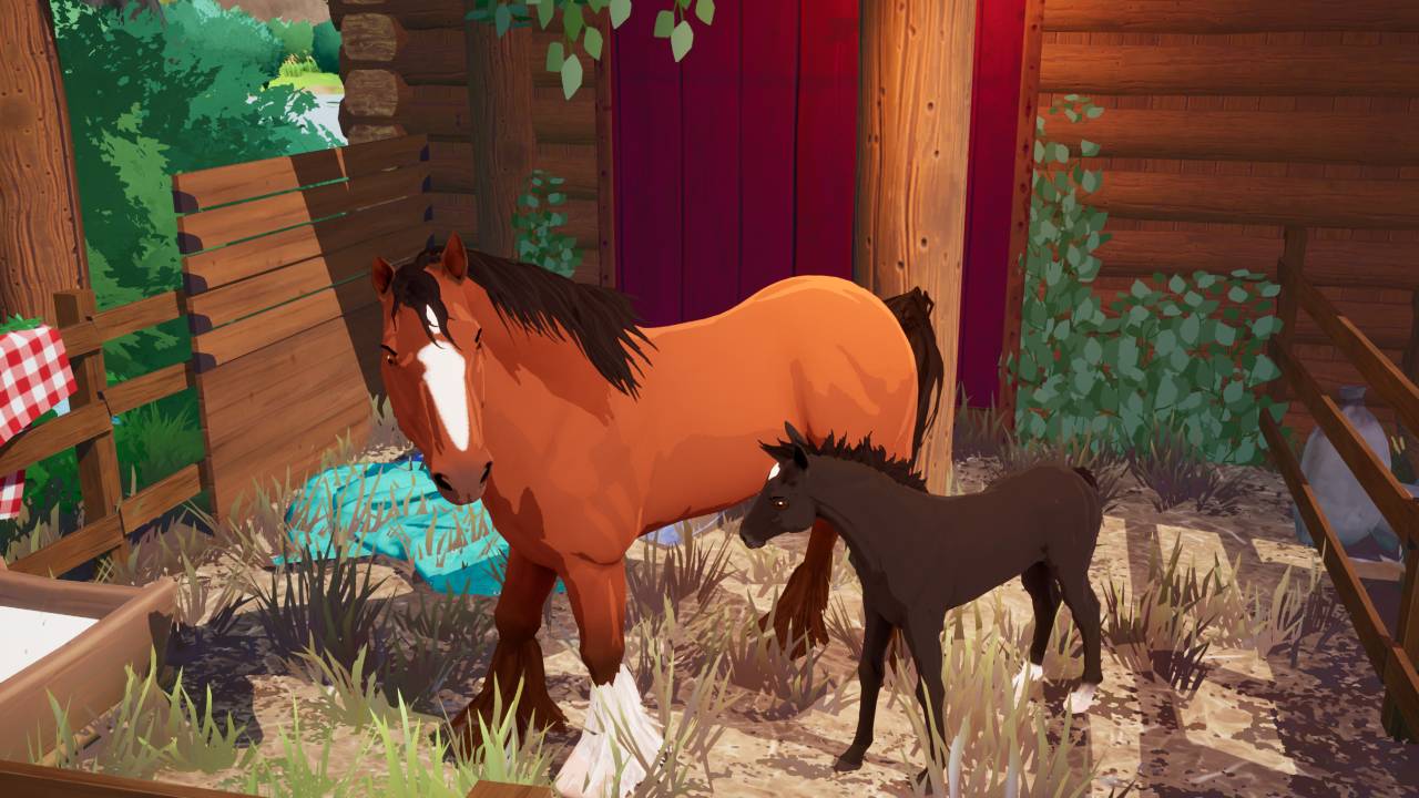 The Foal Care Pack 2