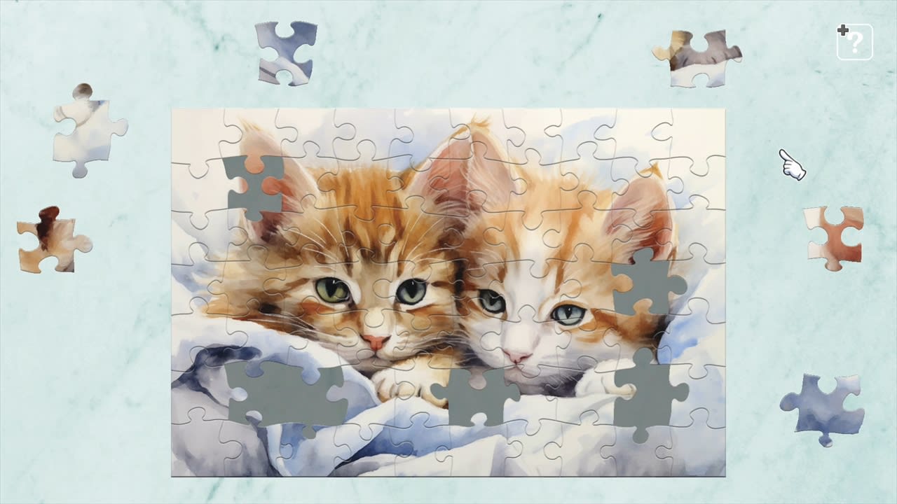 Cat Canvas 2