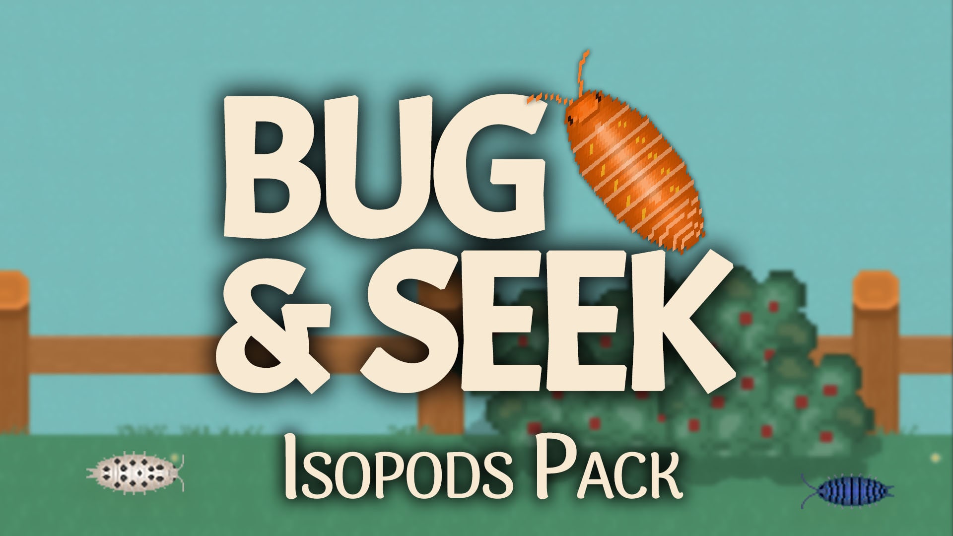 Bug & Seek: Isopods 1