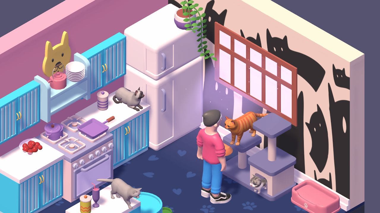 Cats 3
