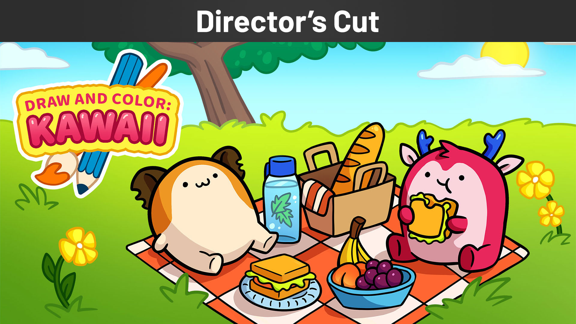 DRAW AND COLOR: KAWAII Director's Cut 1