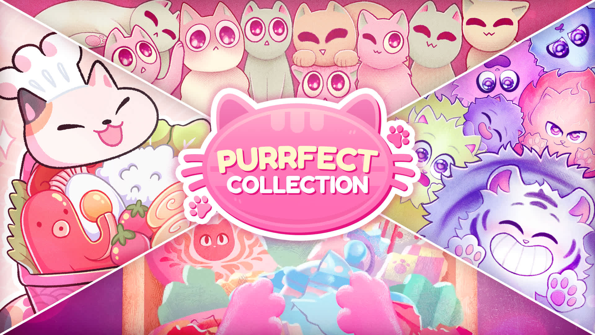 Purrfect Collection 1