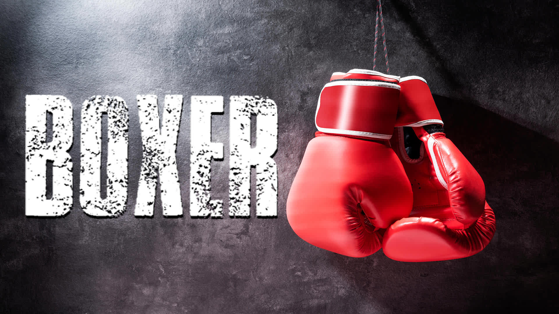 Boxer for Nintendo Switch - Nintendo Official Site