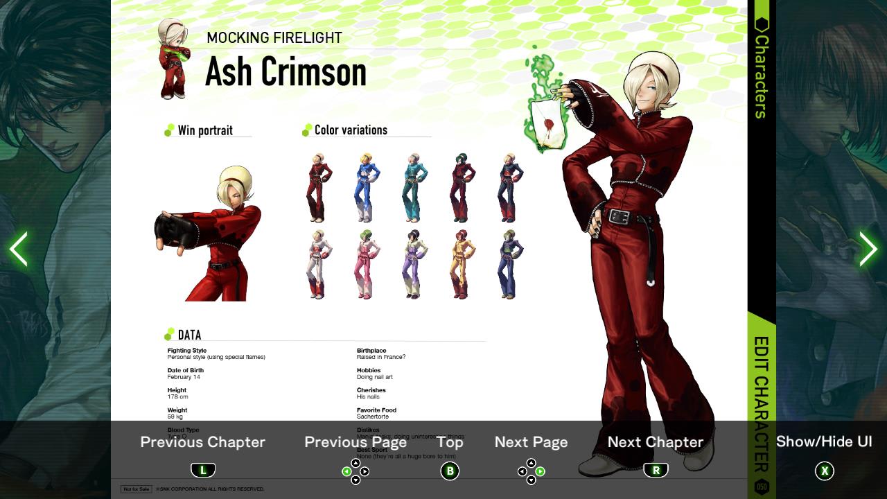 THE KING OF FIGHTERS XIII GLOBAL MATCH Artbook & Soundtrack — скриншот 1