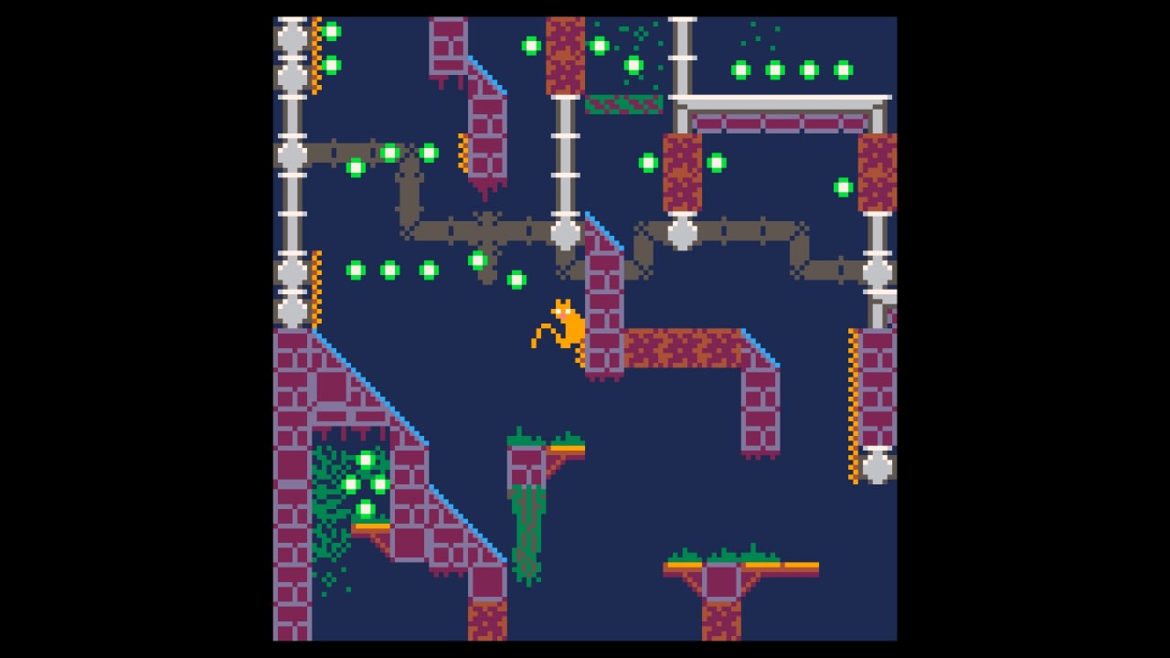 Zebulon: A Lost Cat 6