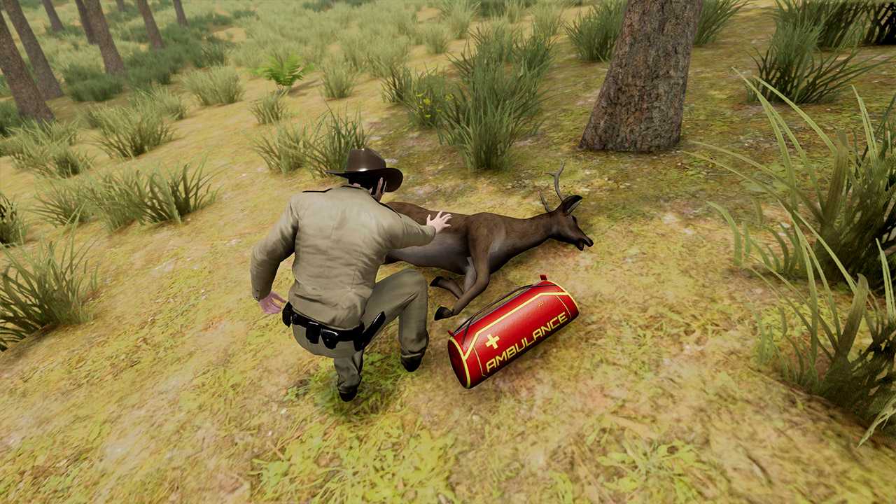 Sheriff Park Ranger for Nintendo Switch - Nintendo Official Site